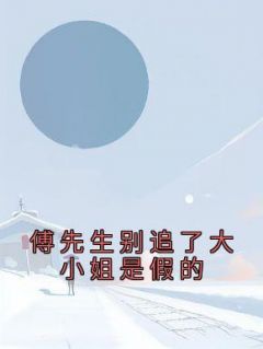 傅先生别追了大小姐是假的