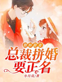 傲娇甜妻：总裁拼婚要正名